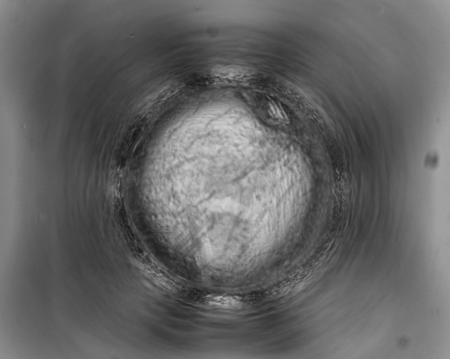 X0000100220649200806131315