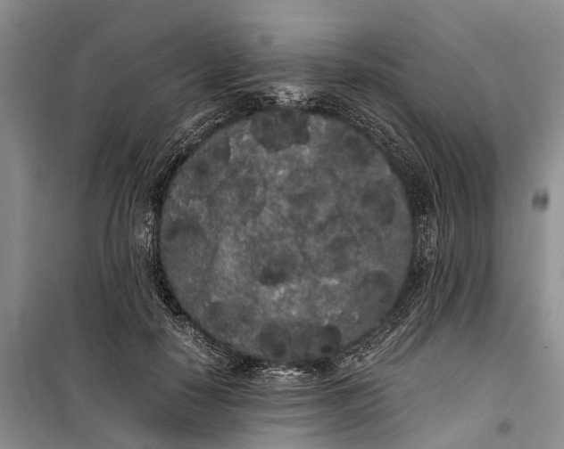 X0000100220650200806131315