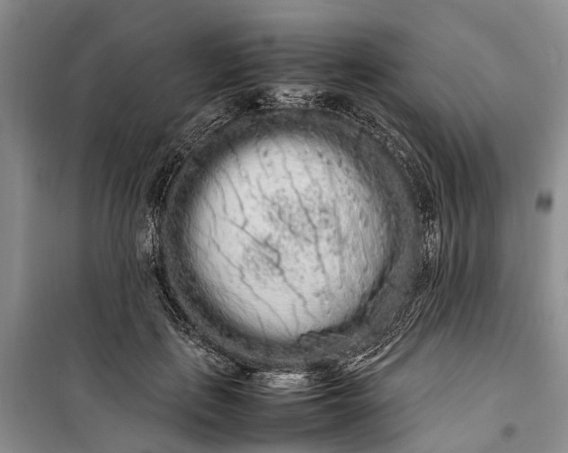 X0000100220651200806131315