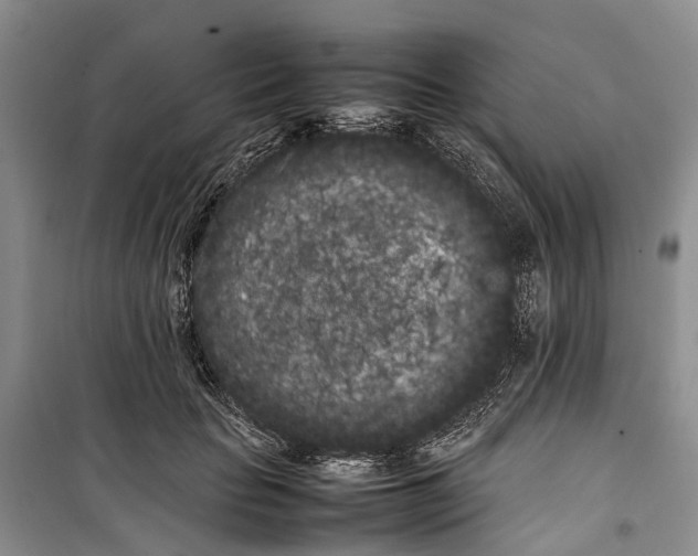 X0000100220653200806131315