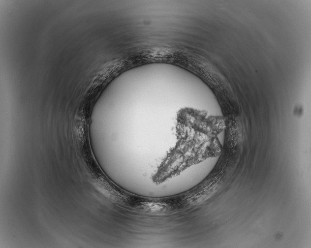 X0000100220654200806131315