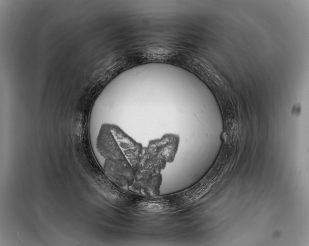 X0000100220655200806131315