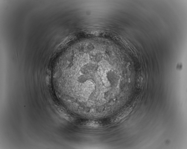 X0000100220656200806131315