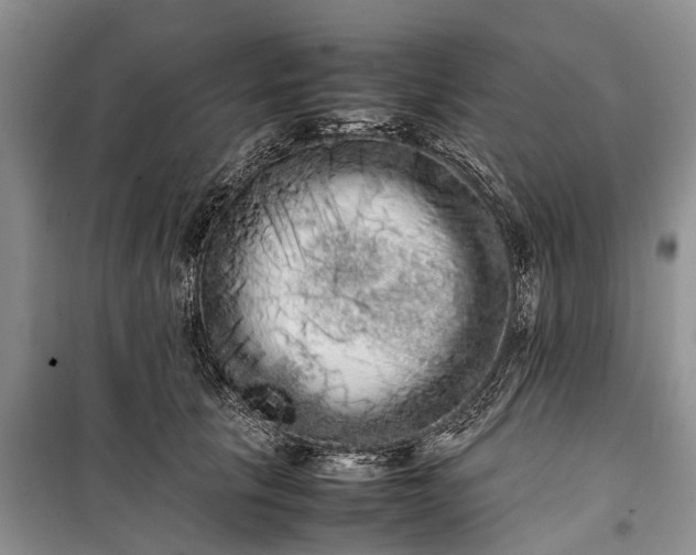 X0000100220657200806131315