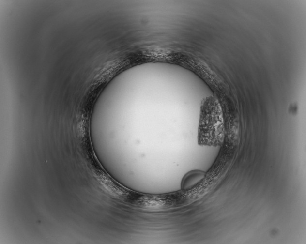 X0000100220658200806131315