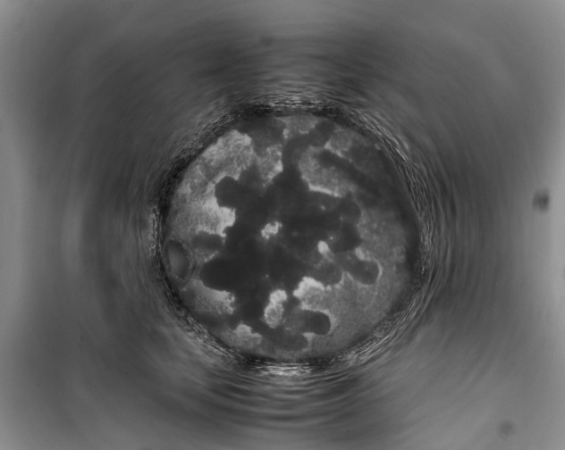 X0000100220659200806131315