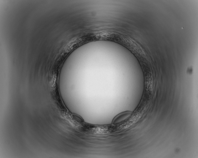 X0000100220660200806131315