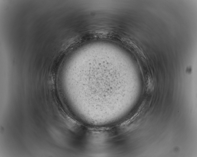 X0000100220661200806131315