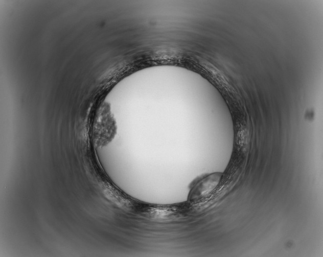 X0000100220662200806131315