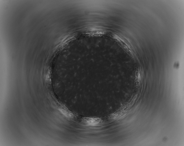 X0000100220663200806131316