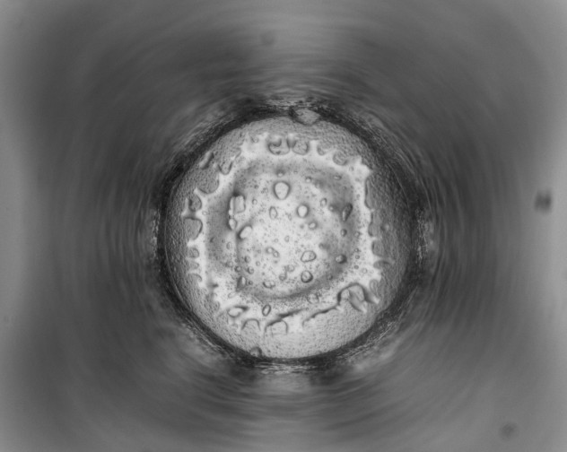 X0000100220664200806131316