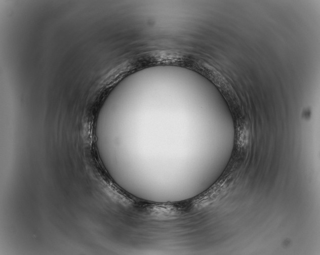 X0000100220666200806131316