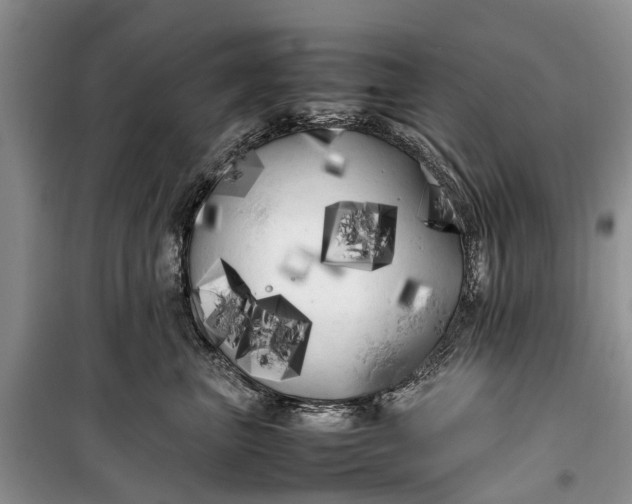 X0000100220667200806131316