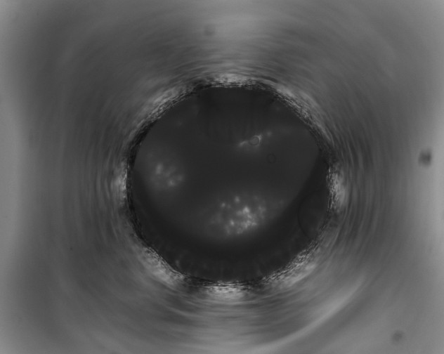 X0000100220668200806131316