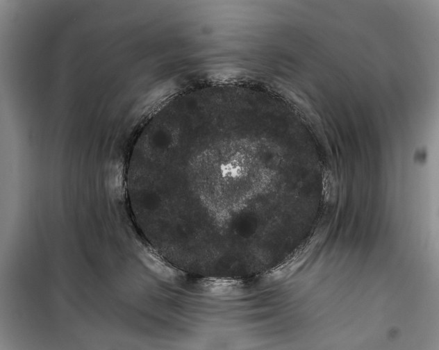 X0000100220670200806131316