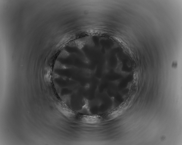 X0000100220671200806131316