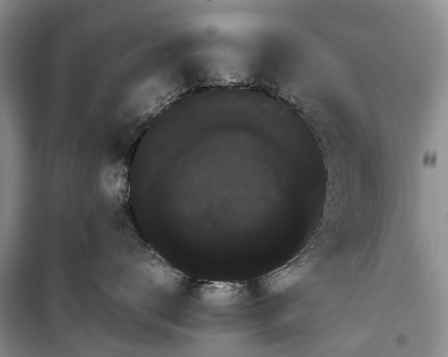 X0000100220672200806131316