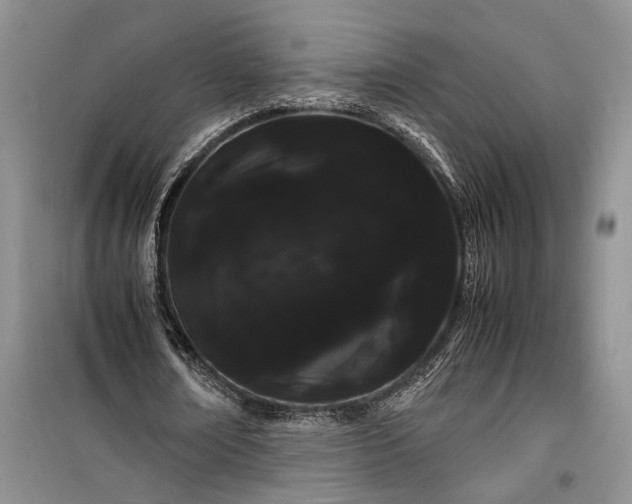 X0000100220674200806131315