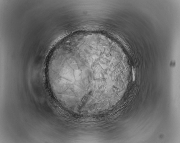 X0000100220675200806131315