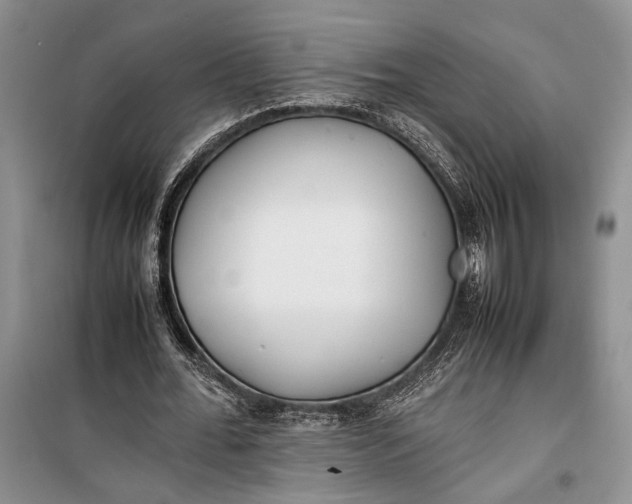 X0000100220676200806131315