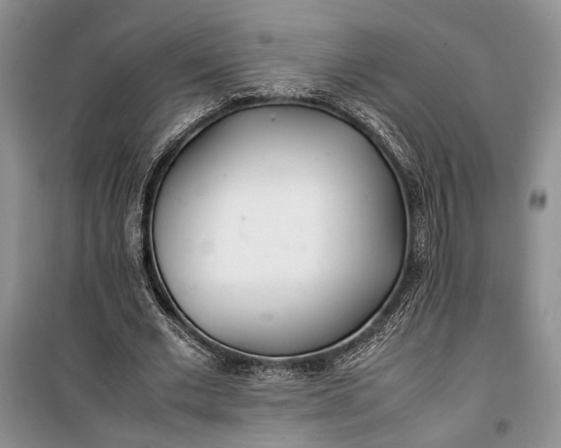 X0000100220677200806131315