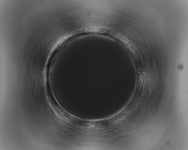 X0000100220678200806131315