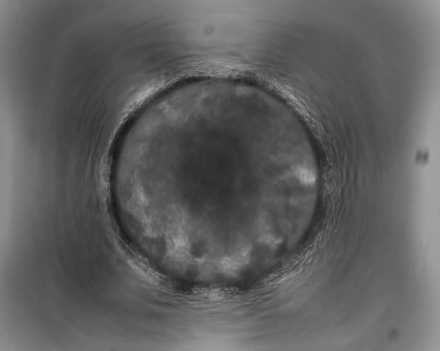 X0000100220679200806131315