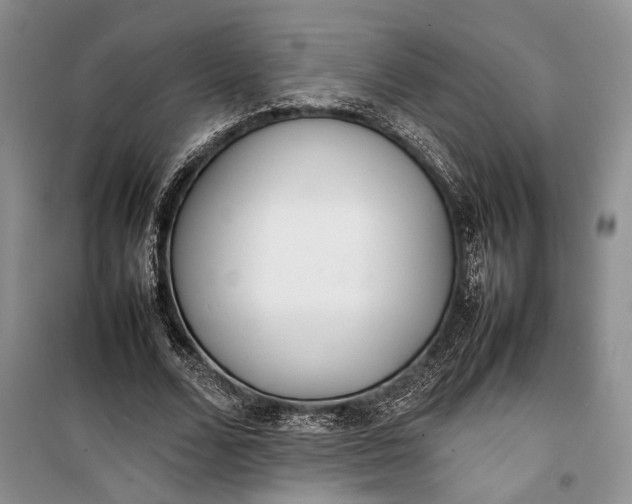 X0000100220680200806131315