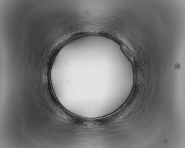 X0000100220681200806131315