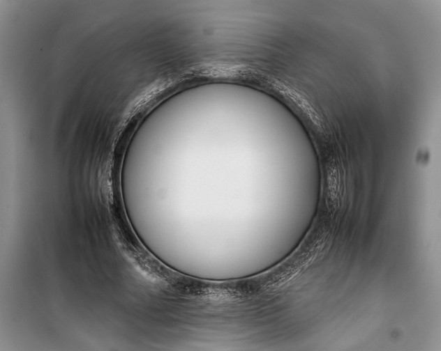 X0000100220682200806131315