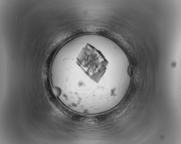 X0000100220683200806131315