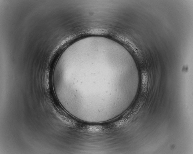 X0000100220684200806131315