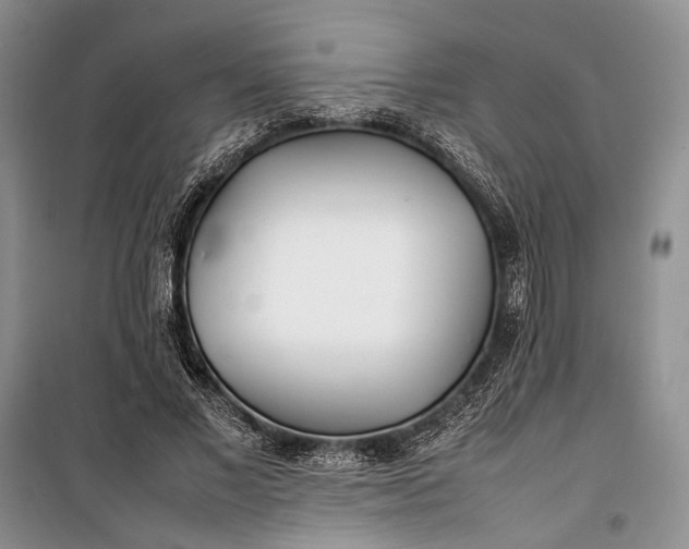 X0000100220685200806131315