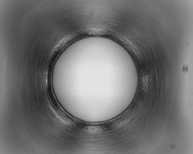 X0000100220686200806131315