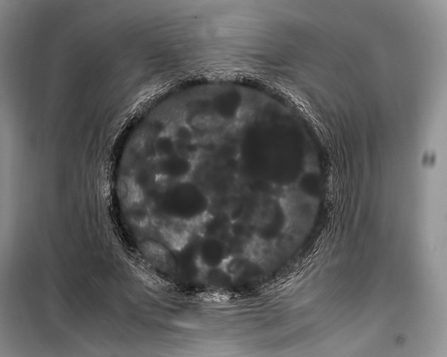 X0000100220687200806131315