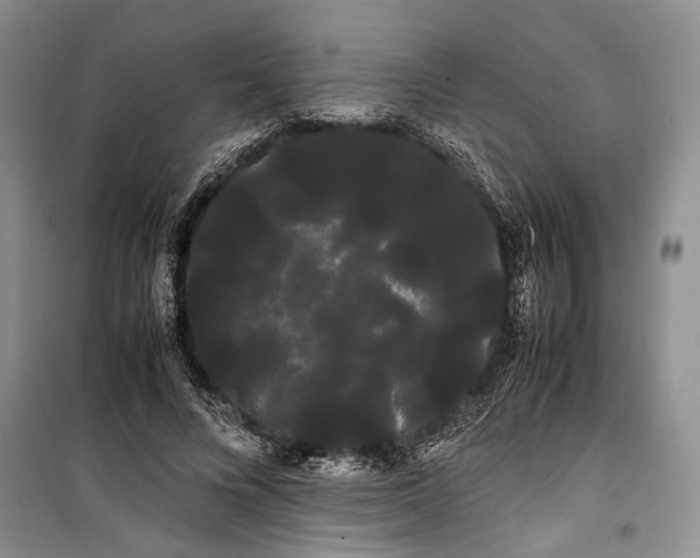 X0000100220688200806131315