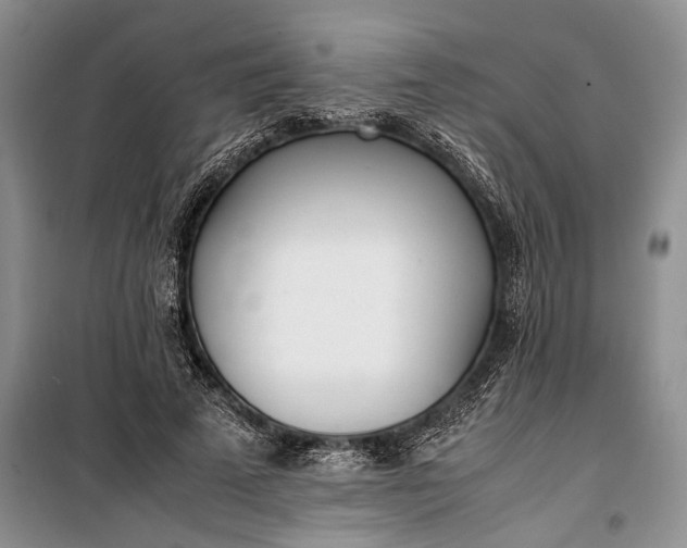 X0000100220689200806131315