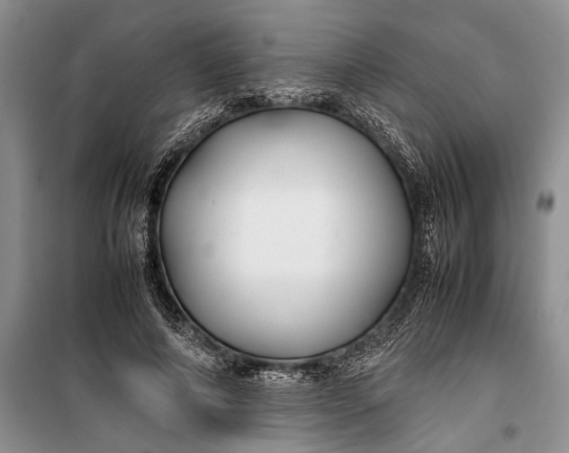 X0000100220690200806131315