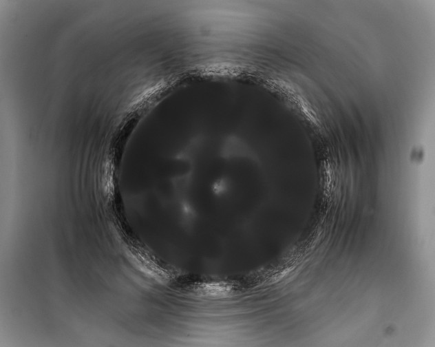 X0000100220692200806131315