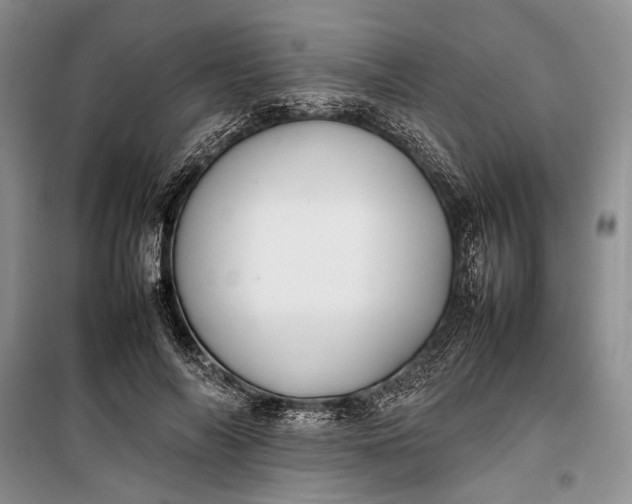 X0000100220694200806131315