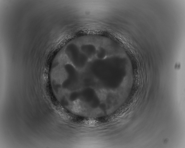 X0000100220695200806131315