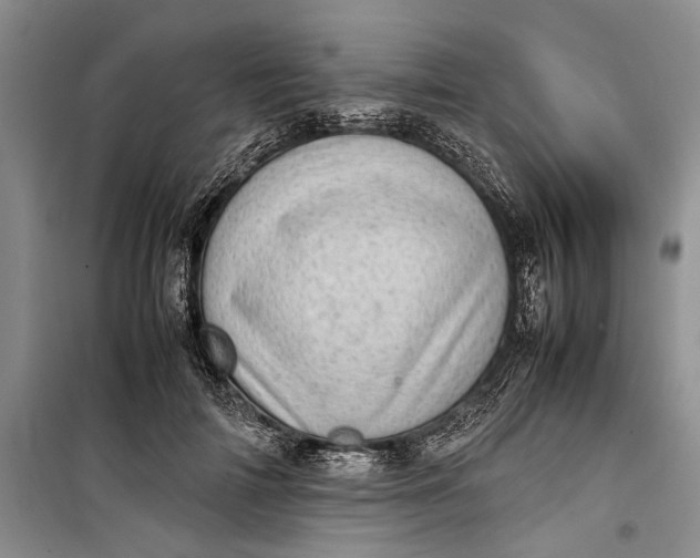 X0000100220698200806131314