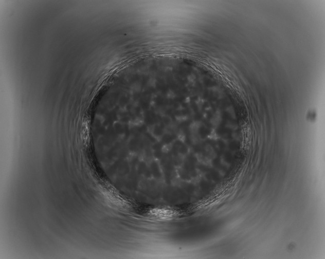 X0000100220699200806131314