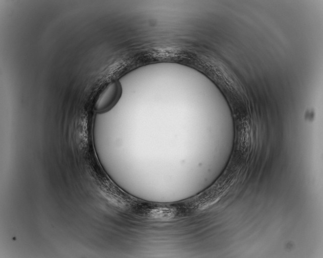 X0000100220700200806131314