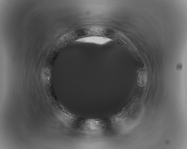 X0000100220701200806131314