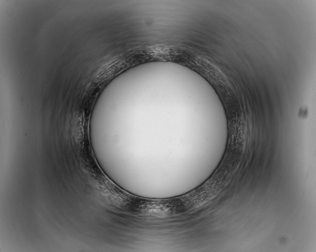 X0000100220702200806131314