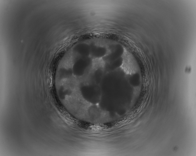 X0000100220703200806131314