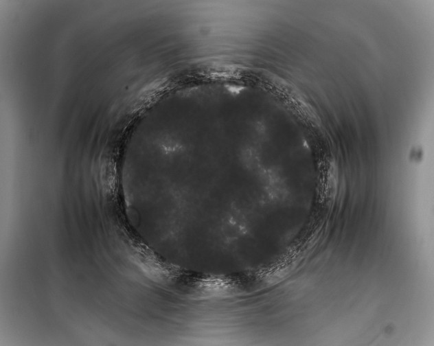 X0000100220704200806131314