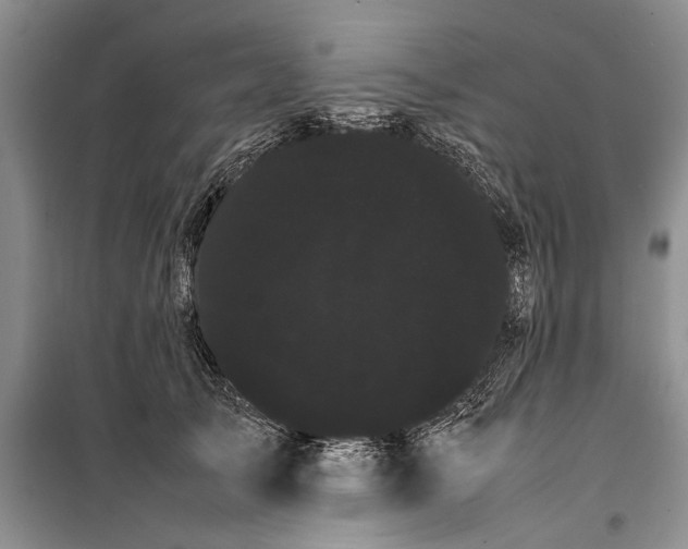 X0000100220705200806131314