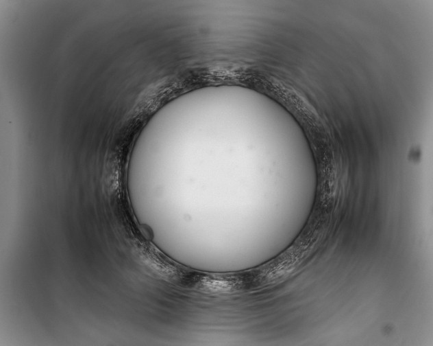 X0000100220706200806131314